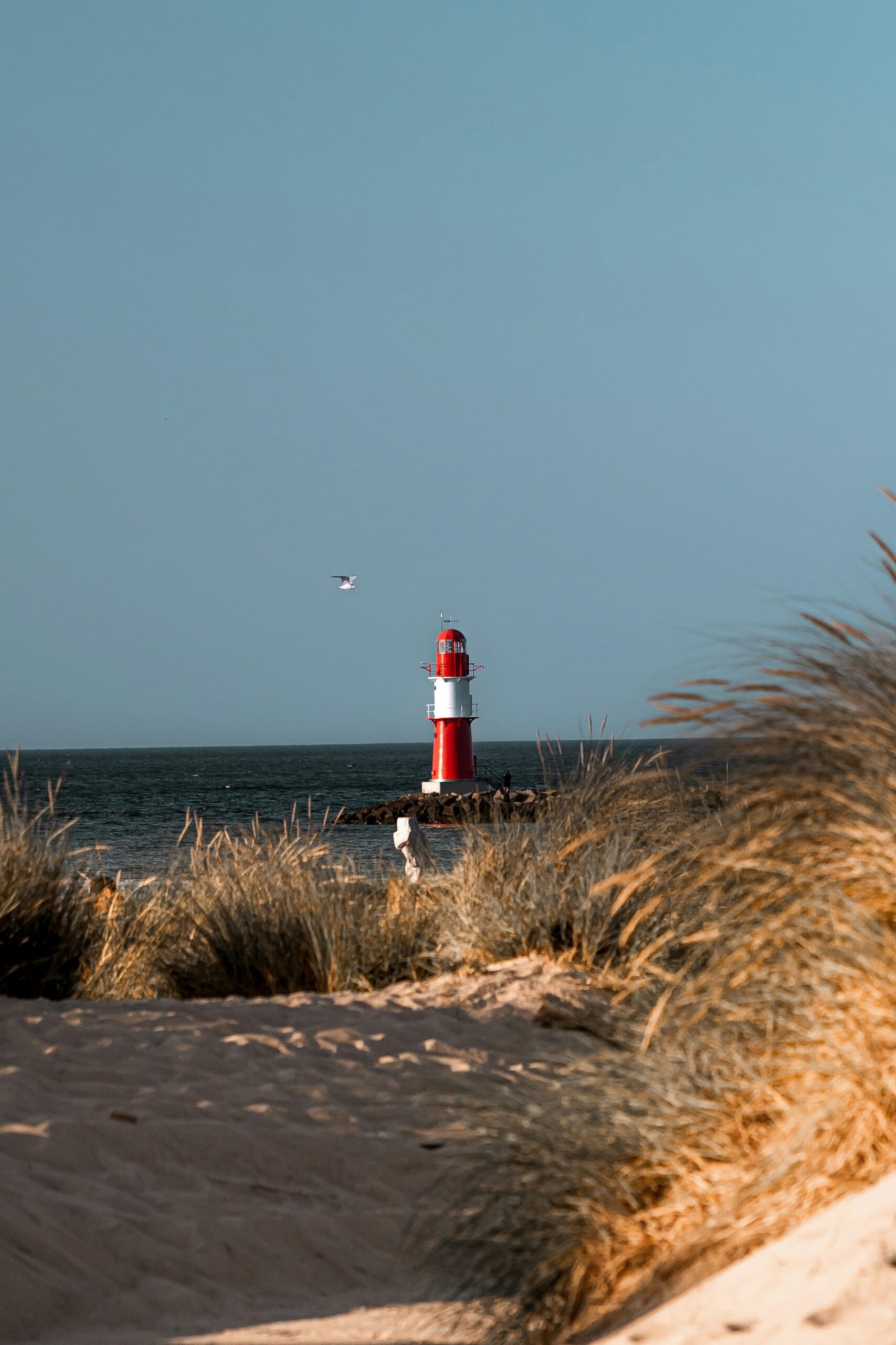 chris-reyem-uUbnvb3orRs-unsplash